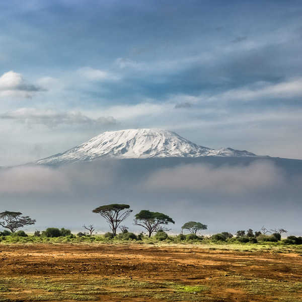 11_Red-Duiker_Kilimanjaro_home